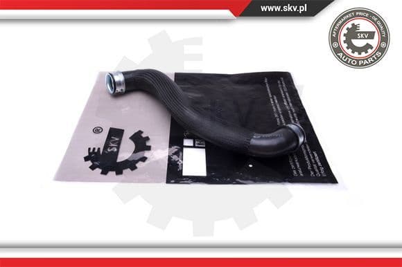 Radiator Hose 43SKV857