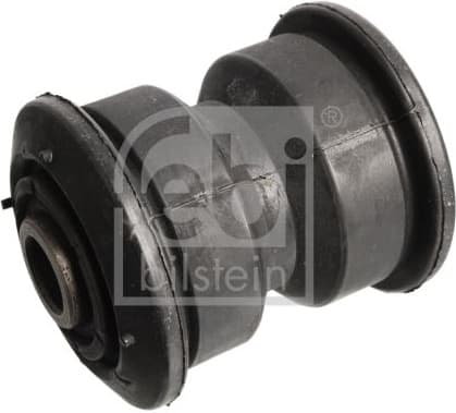 Bush, spring eye 09405