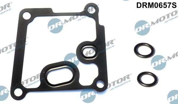 Gasket Set, oil cooler DRM0657S