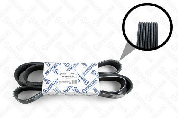 V-ribbed Belt 08-01815-SX