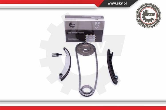 Timing Chain Kit 21SKV113