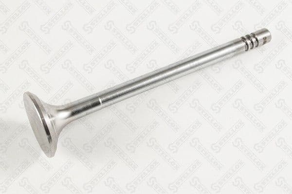 Exhaust Valve 01-24359-SX