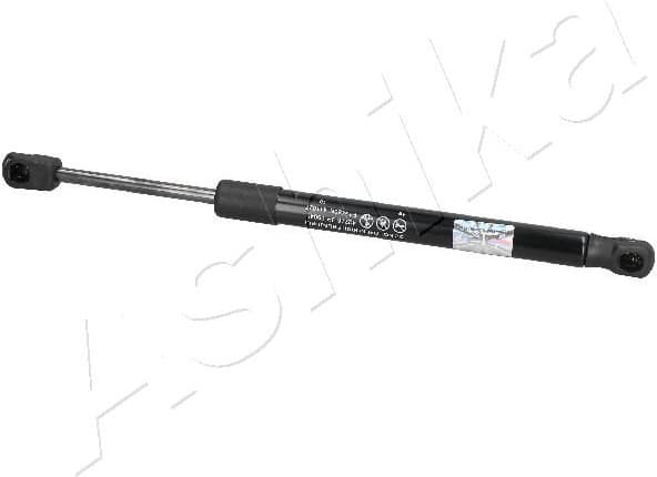Gas Spring, boot/cargo area ZSA09045