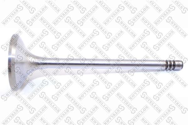 Exhaust Valve 01-24281-SX