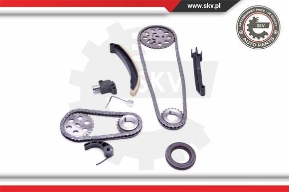Timing Chain Kit 21SKV209 - image 2