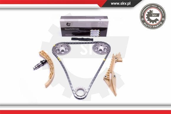 Timing Chain Kit 21SKV183