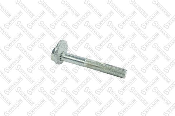 Camber Correction Screw 79-01101-SX