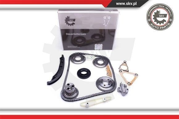 Timing Chain Kit 21SKV123
