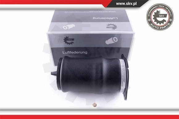 Air Spring, suspension 58SKV014
