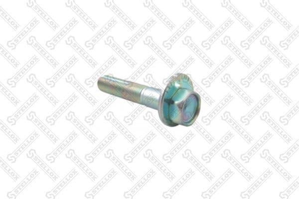 Camber Correction Screw 79-01106-SX