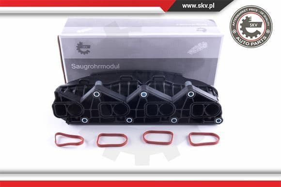 Intake Manifold Module 49SKV057