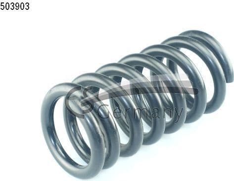 Suspension Spring 14503903