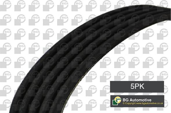 V-ribbed Belt 5PK1665