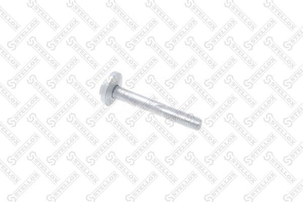 Camber Correction Screw 79-01112-SX