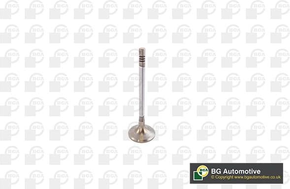 Intake Valve V142049