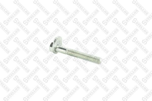 Camber Correction Screw 79-01110-SX