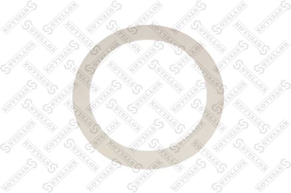 Seal Ring, wheel hub 89-01013-SX