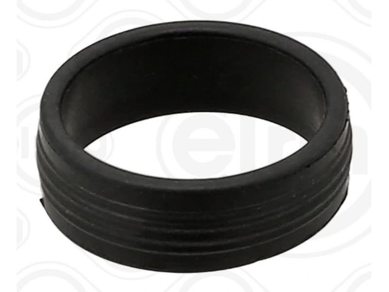 Seal Ring, injector 593.920