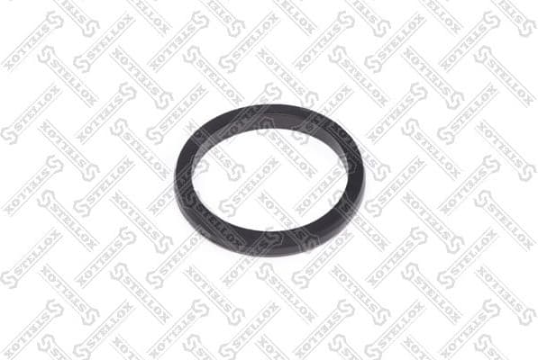 Seal Ring, water pump 89-01073-SX