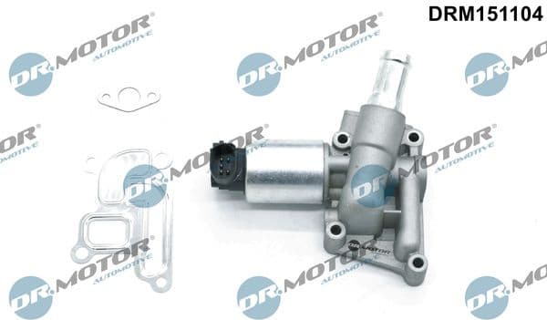 EGR Valve DRM151104