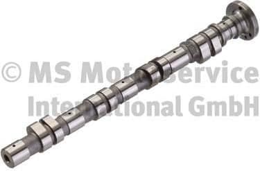 Camshaft 50007590