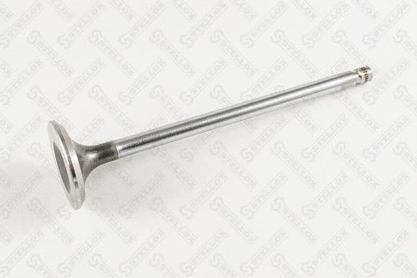 Exhaust Valve 01-24144-SX