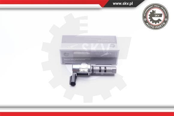 Control Valve, camshaft adjustment 39SKV031