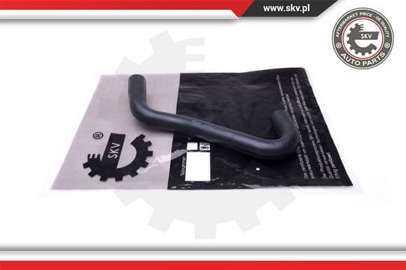 Radiator Hose 43SKV875