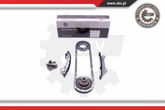 Timing Chain Kit 21SKV205