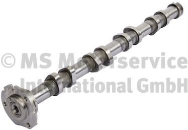 Camshaft 50007051
