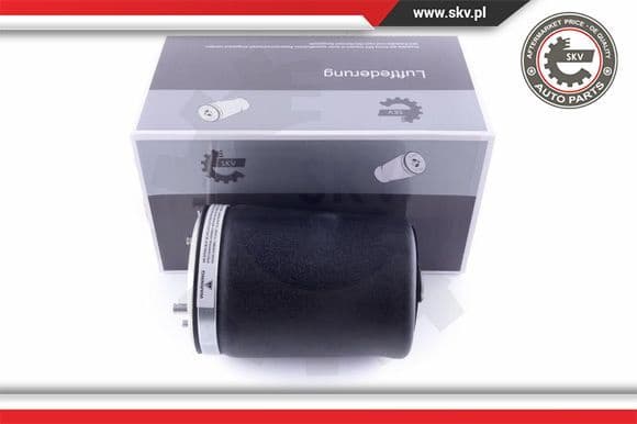 Air Spring, suspension 58SKV002
