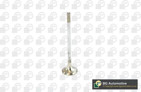 Exhaust Valve V236820