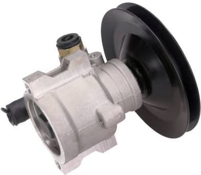 Hydraulic Pump, steering 48-0031
