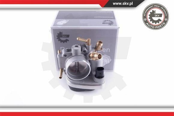 Throttle Body 12SKV095