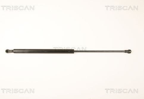 Gas Spring, boot/cargo area 8710 25245