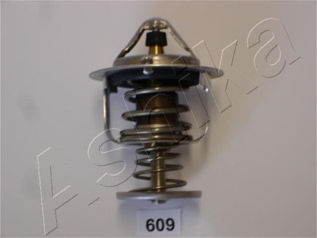 Thermostat, coolant 38-06-609