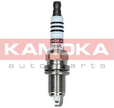 Spark Plug 7090538