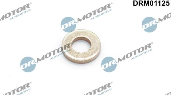 Heat Shield, injection system DRM01125