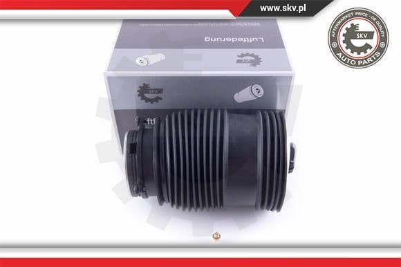 Air Spring, suspension 58SKV007