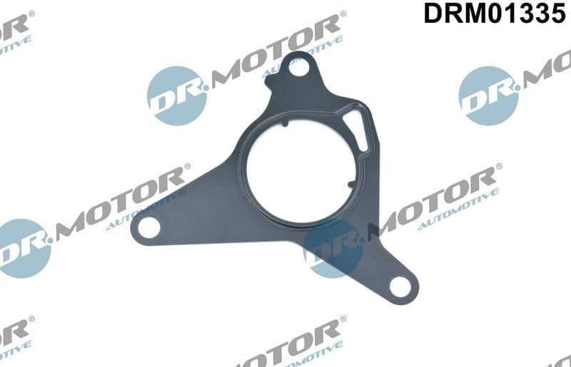 Gasket, vacuum pump DRM01335