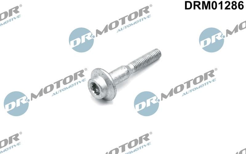 Screw, injection nozzle holder DRM01286