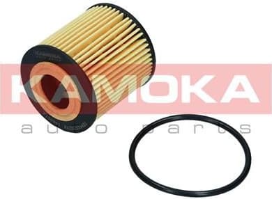 Oil Filter F120901