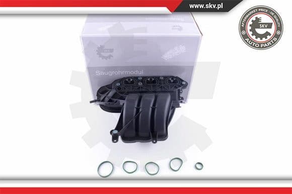 Intake Manifold Module 49SKV056