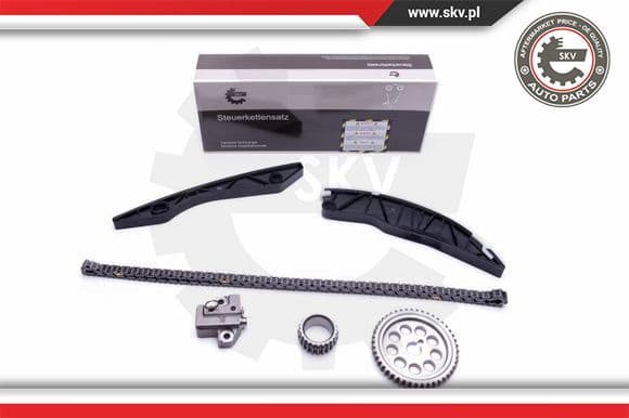 Timing Chain Kit 21SKV150