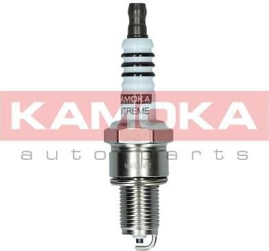 Spark Plug 7090520
