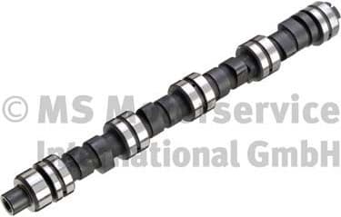 Camshaft 50006259