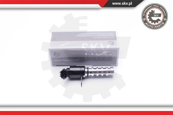 Control Valve, camshaft adjustment 39SKV020