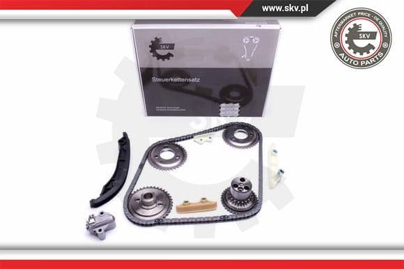 Timing Chain Kit 21SKV120