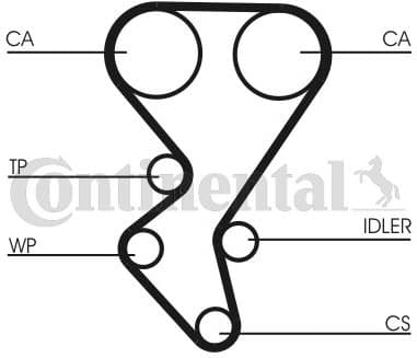Timing Belt CT1092 - image 4