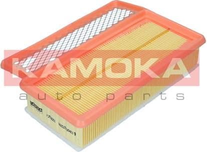 Air Filter F253001